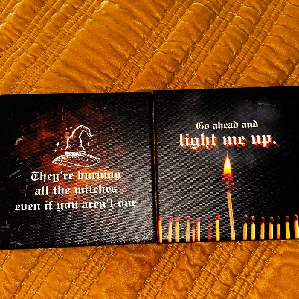 Taylor Swift reputation Themed Canvases